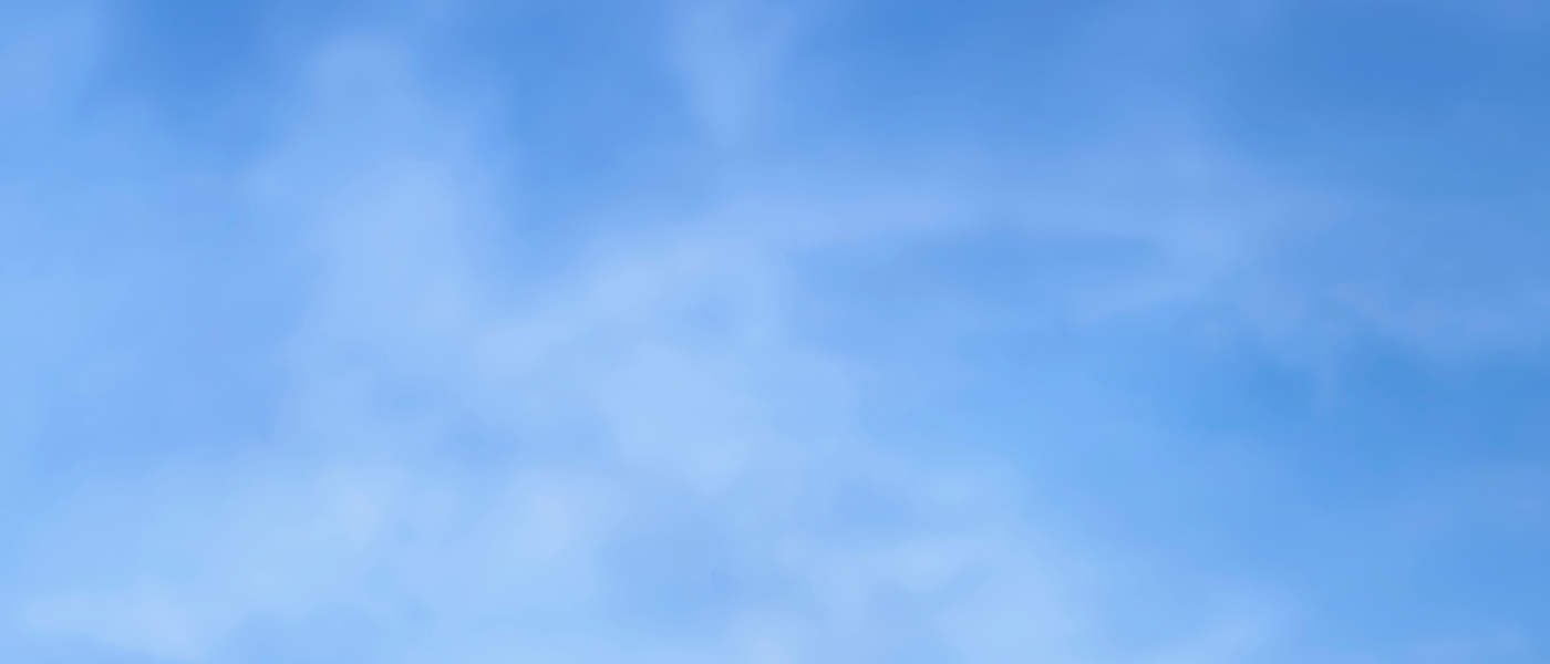 정상안